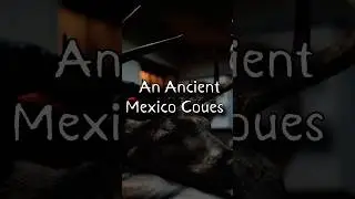 An Ancient Mexico Coues! The Full Video is a BANGER! #MADDHunts