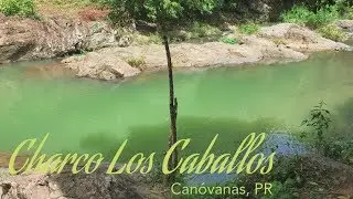 CHARCO LOS CABALLOS (Can&oacute;vanas, PR) Rios Puerto Rico / Living in Puerto Rico