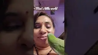 #Jackyadventure #talkingparrot # minislittleworld