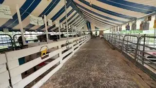 Michigan's biggest little fair packs big entertainment into small space