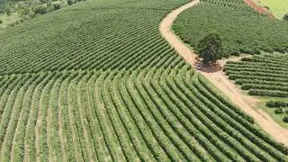 EFICO - Field Trip: South of Minas Gerais