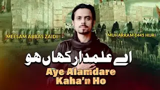 AYE ALAMDAR KAHA HO | Meesam Abbas Zaidi Nohay 2023 | Noha Shahadat Mola Abbas 2023