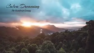 Calea Dreaming - At The Edge Of The Escarpment