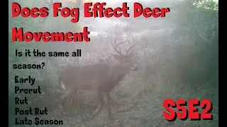 Fog and does it effect deer movement for your hunt s5e2 movie