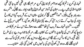 Urdu Novel 