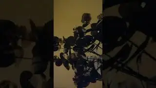 Lige nu er kaffen klar - Thomas esser