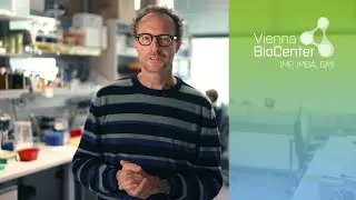 Daniel Gerlich | Scientist Snapshot | IMBA, Vienna BioCenter