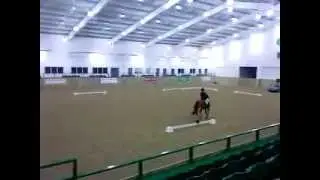 Novice 25