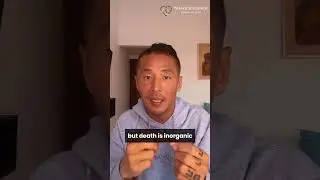Flower of Life VS Eternal Lotus of Life (read comments)