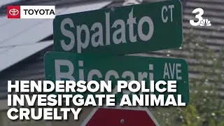 Henderson police investigate animal cruelty after dog found in trash bag dies