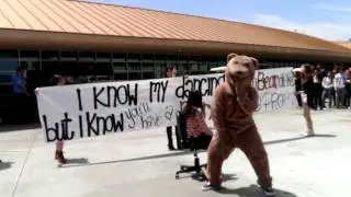 Promposal 2014 dancing bear