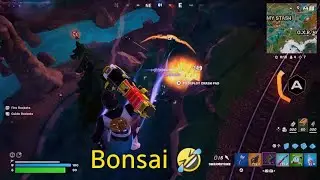 Fortnite Bonsai Victory ✌️