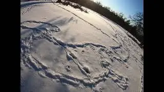 Wild Animal Prints In The Snow,