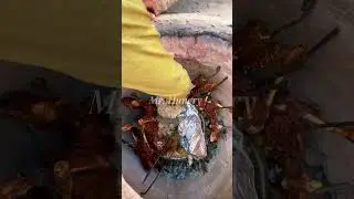 Khada Mutton rice 🍗🍖🍗 #pakistan #rice #mutton #food #reels #shorts #video #vlog || Mr. Hungry