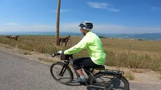 Cannondale Tesoro Neo X1 Ebike (2021)
