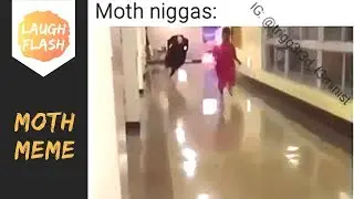 Moth Meme 😅 Chasing Light by @trigg3r3d_f3minist