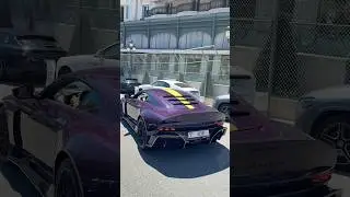 Rare &pound;2.5M Purple Carbon Aston Martin Valiant Arriving at Monaco Hotel