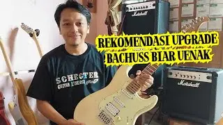 BACHUSS BST 2RSM, Full roasted maple neck (Part upgrade)