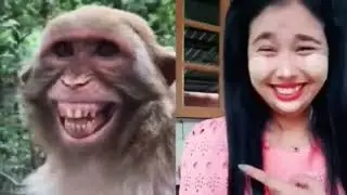 Love dogs 🐶 don't hate #funny #comedy #love #dog #doglover #dogs #prank