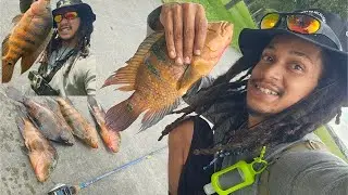 Mayan Cichlid Fishing | Markham Park 