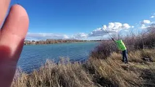 casting my okuma CW 453D