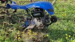 Fındık bah&ccedil;esi bahar bakım ve besleme g&uuml;bre atıyoruz yağmur ( patpat ) motoru ile &ccedil;apa yapıyoruz
