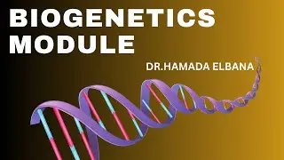 Lecture 3 – Bio Genetics DNA Replication