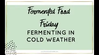 Fermented Food Friday Five Feb 23