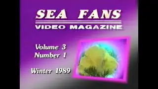 Sea Fans Video Magazine: Volume 3, Number 1 (Winter, 1989)