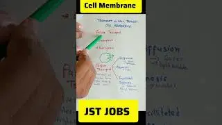 Transport in Cell #Diffusion #osmosis #activetransport  #passivetransport#passiveincome