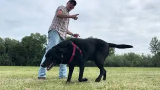 Hitch Slapped Line Dance Teach