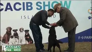 Fci international All breed cacib show f9 park Islamabad || Documentary