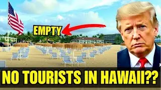 Hawaii has the worst tourism crisis in decades.  The Devastating State of American Tourism Right Now