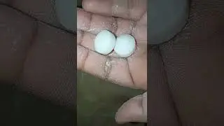 New Pack Naphthalene Balls Unpacking & Hand Crushing 🤍🤍#newpack #mothballs #crushing #unpacking ❤️❤️
