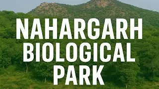 &ldquo;Rajasthan ka Amazon Jungle 🌳 | Nahargarh Park Jaipur Full Guide! #zoovlog #zoo #jaipurzoo