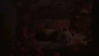 Bed Of Roses (Lofi Panda Cave)