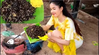 How to Cooking Yummy Roast Cricket in My HoliDay - Cambo Cooking TV