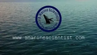 Beqa Island-A MarineScientist