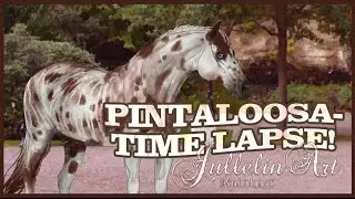 Pintaloosa- Time Lapse!