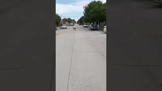 NO TRAE LO SUYO, NO DOY LO M&Iacute;O