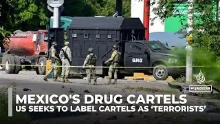 Trump designates Mexican drug cartels as &lsquo;foreign terrorists&rsquo;; Mexico asserts sovereignty