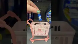 Short Mini Shopping Trip To Walmart #miniature #minis #minishopping