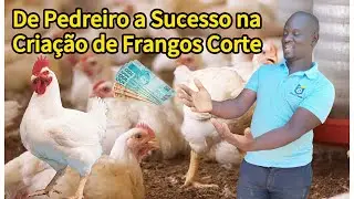 De Pedreiro a Sucesso na Criação de Frangos de Corte: Um Exemplo de Superação!