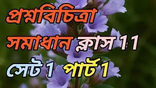 Class 11 Question bank Chemistry MCQ Solution set 1 part 1 page 293