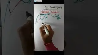 pat online class | target PAT 2024 | free classes | printed notes | test series