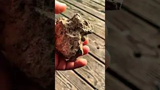 ⁠Paleolithic art ancient weapons ​⁠with Zappa @Muggaspaleo