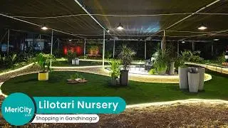 Lilotari Nursery Gandhinagar | Garden Solutions | Landscaping | Gardening | MeriCity