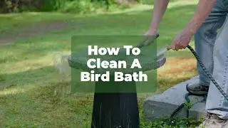 How To Clean A Bird Bath | Dances With Stone