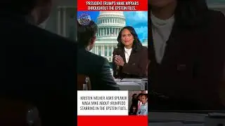 Meet The Press Host Presses Speaker Johnson on Trump Appearing On The Recent Epstein Files