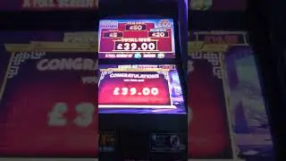 super paws of fury gameplay by blueprint gaming